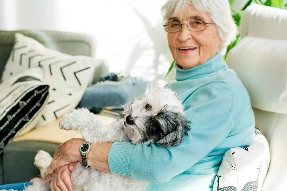 elderly-woman-pet-dog