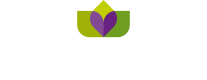 Stowford House Care Home white